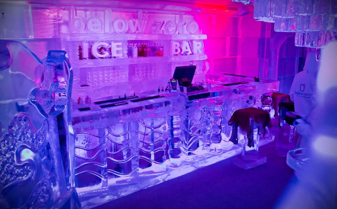 Below Zero Ice Bar - entry & cocktail